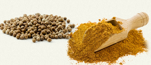 Approvisionnement en usine de graines de coriandre biologiques de qualité supérieure, épices séchées en vrac en provenance d'Inde, processus publicitaire sec - Product Image 4