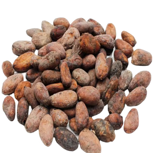 ขายดี! เมล็ดโกโก้พรีเมียมขายส่ง คุณภาพสูงสุด พร้อมส่งออก - Product Image 6
