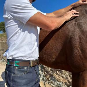 Cinturón Deportivo de Polo de Cuero Argentino de Primera Calidad, Hecho a Mano, Bordado a Mano, Cinturones Bordados, Accesorios para Hombre, Cinturones para Hombre - Product Image 6