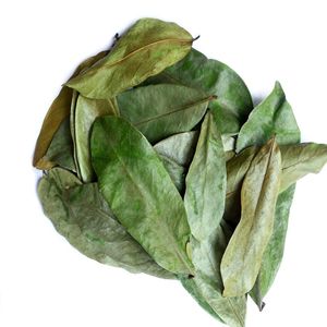 Thé de corossol en vrac naturel, feuilles séchées, approvisionnement en gros - Product Image 6