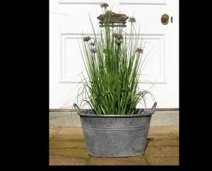 Jardinera de Hierro Resistente con Revestimiento Resistente a la Intemperie para Decoración de Plantas en Exteriores - Product Image 4