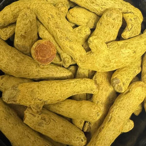 Cachos de cúrcuma secos enteros para procesamiento de alimentos, mercados de hierbas y especias, suministrados a granel a importadores y mayoristas en todo el mundo. - Product Image 6