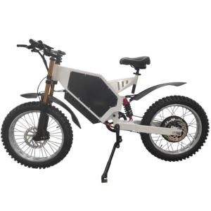 Nouveau VTT électrique 1000W 48V 25Ah avec batterie au lithium Surron Ultra Bee, longue autonomie, pneus larges - Product Image 1