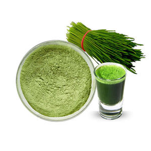 OEM ODM Bulk Supply Natural <b>Wheat</b> Grass Powder 100% Pure <b>Wheat</b> Grass Powder for Herbal Drinks and Dietary Supplements - Product Image 1