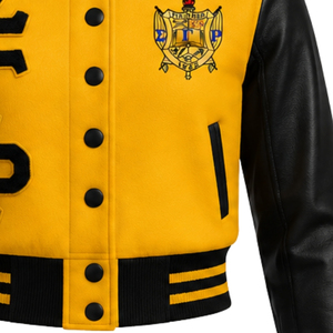 เสื้อแจ็คเก็ตครอปซิปสำหรับผู้หญิง Sigma Gamma Rho ผ้าซาติน สไตล์ลำลอง บอมเบอร์ เสื้อนอกสุดเท่ ชุดนักเรียนหญิง ชุดลำลองแนวสตรีทแวร์ พร้อมโลโก้แบบกำหนดเอง - Product Image 6