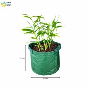 Sac de culture de rhizomes de haute qualité L en PEHD stabilisé aux UV avec fenêtre de récolte - Product Image 2