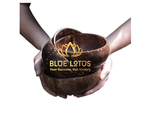 Meilleures ventes Bol en coquille de noix de coco écologique avec finition lisse - Product Image 2