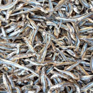 Compre Pescado Seco, Bagre Ahumado, Anchoas envasadas al Vacío, 10 kg, Calidad Premium, Entrega Rápida, Precio Bajo, 24 Meses de Duración - Product Image 5