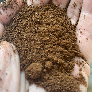 Harina de Nuez de Palma Orgánica 2026 Rica en Fibra y Proteínas |   Ideal para Alimentación Animal |   Cantidades al por mayor listas para exportación y calidad garantizada - Product Image 1