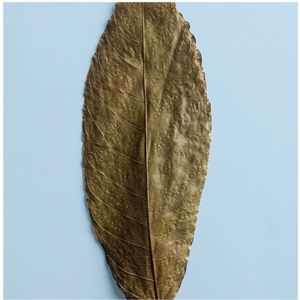 Feuilles de cacao écologiques YAMUNA 31-35 cm (12-13 pouces) pour aquarium, lot de 24 feuilles - Product Image 4