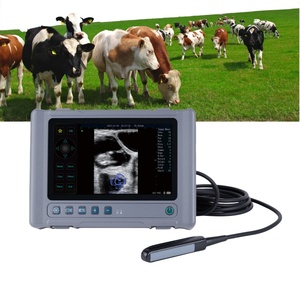 Escáner de <span class=keywords><strong>Ultrasonido</strong></span> Veterinario Portátil al Mejor <span class=keywords><strong>Precio</strong></span>, Pantalla de 8 Pulgadas, Batería de 10000 mAh para Hospitales Veterinarios, Gatos, Perros, Caballos - Product Image 1