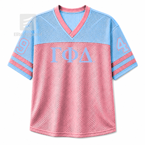 Camiseta personalizada de la hermandad Gamma Phi Delta con cuello en V, bloques de color, manga corta, azul cielo y rosa, estilo casual para mujer, de malla de poliéster. - Product Image 1