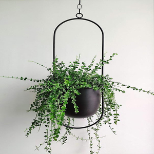 Black Metal Plant Hanger,Metal Wall and Ceiling Hanging Planter, Modern Planter, Mid Century Flower Pot Plant Holder Minimalist - Product Image 2