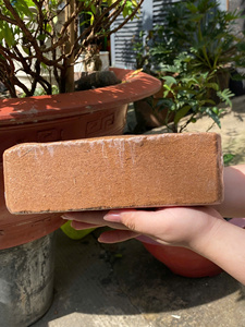 Meilleure Vente 2026 Eco2go Vietnam Bloc de tourbe de coco 100% biologique |   Triple Lavage |   Écologique et biodégradable |   Prêt pour l'exportation - Product Image 6