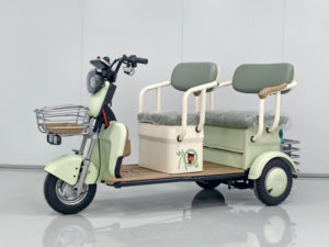 Tricycle électrique à usage récréatif avec alimentation par batterie au lithium, cadre en acier, véhicule électrique à 3 roues - Product Image 3