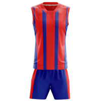 Tenue de Basketball Personnalisée pour Équipe – Maillot et Short de Sport à Séchage Rapide, Confortables et Performants en Polyester de Haute Qualité