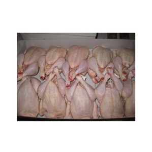Pollo entero y partes de pollo halal de alta calidad, congelado y de primera calidad - Product Image 2