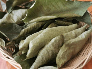 Gomme de corossol séchée naturelle du Vietnam, collation moelleuse sans sucre ajouté, vente en gros, qualité export, prix d'usine, expédition mondiale - Product Image 4
