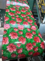 Bobine en acier prépeint PPGI RAL enduit de couleur pour toiture, clôture, porte de garage ou panneau mural
