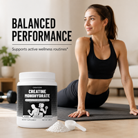 Fournisseur ODM de créatine monohydrate pour l'entraînement quotidien des adultes, amélioration des performances, poudre micronisée de nutrition sportive 300g