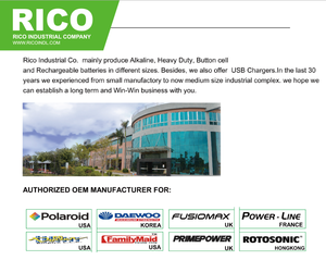 Conception Unique IP66 Led projecteur 10W 20W 30W 50W 100W 150W 200W 300 SMD longue durée de vie avec CE - Product Image 5