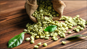 Factory Price Vietnam Specialty Arabica Green Coffee <b>Beans</b> Size 16 Low Defect 0.1% AA+ Grade TNFOOD Brand ISO 22000 Certified - Product Image 5