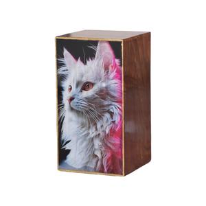 Urna de cremación para gatos con foto personalizada, recuerdo conmemorativo para mascotas, urnas de cremación para gatos y perros - Product Image 1