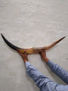 Cuerno de toro artesanal hecho a mano cuerno de vaca decoración de pared montado en la pared de la decoración del hogar India para la venta a granel - Product Image 5