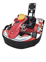 Karts comerciales - ideales para parques de atracciones. Aptos tanto para interiores como para exteriores.