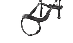 Brida de cuero occidental premium ajustable y duradera para entrenamiento y exhibición de caballos, brida de polo genuina para caballo - Product Image 2