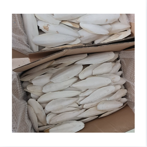 Cuerpo de Sepia Seca Entero, Primera Calidad, Alto Contenido de Proteínas, Bajo en Grasa, Tamaño 20cm+, Origen Vietnam Ba Ria-Vung Tau, 24 Meses de Caducidad - Product Image 1