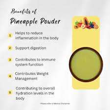 Polvo de Piña Orgánico Natural Liofilizado de Proveedor Indio, el Más Vendido, a Granel, 100% Soluble en Agua, Envasado al Vacío - Product Image 3