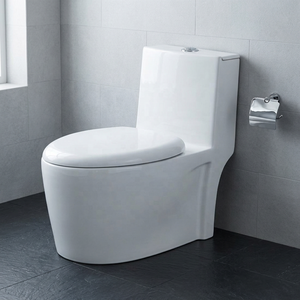 Ensemble WC monobloc en céramique avec siphon, anti-odeur, anti-gel, anti-fissuration, à poser au sol, pour salle de bain, vente en gros - Product Image 4