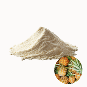 Polvo de Cáscara de Piña de Grado Alimenticio, Estándar Internacional, Hecho en Vietnam, Bajo Precio, Suministro a Granel, Superventas - Product Image 1