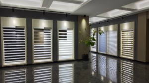 Blackout Zebra Built-In Plain <strong>Blinds</strong> Fabric Roll Custom <strong>Window</strong> Shades Roller <strong>Blinds</strong> Manual Eco-Friendly Durable French <strong>Window</strong> - Product Image 6