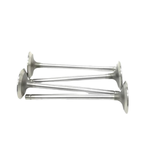 Repuestos de Válvulas de Admisión y Escape para Motor TD 1SC 24V, Mercado Estadounidense - Product Image 5