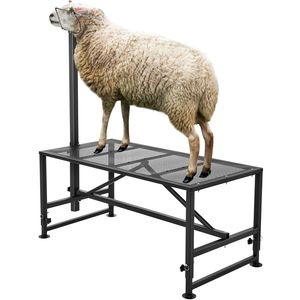 Soporte Metálico Ajustable en Altura para Ovejas y Cabras de 51x23 Pulgadas, Equipo para Ordeño y Esquilado de Ganado de 21 a 33 Pulgadas - Product Image 6