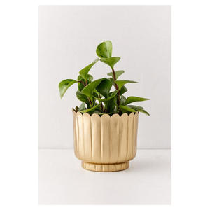 Maceta Redonda de Metal Contemporánea, Elegante Contenedor para Plantas de Interior, para Decoración del Hogar y la Oficina - Product Image 6