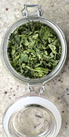 Fournisseur d'herbes de mentha séchées Gingerly Naturals Traitement en vrac aromatisé Ingrédients de qualité supérieure 100% pur certifié ISO/GMP