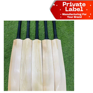 Bate de Cricket de Plástico Duro al por Mayor, Bate de Cricket Impermeable para Calle, Bate de Cricket Personalizado OEM Barato, Bate de Cricket Ligero de Madera de Álamo - Product Image 1