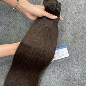 Best <b>Selling</b> 2026 Raw Hair Bundle Vietnamese Human Hair Natural Straight Brown Weft Hair Extensions Double Drawn Bulk Price - Product Image 2