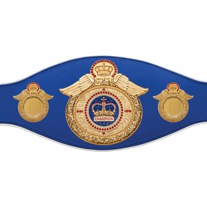 Ceintures de championnat de lutte, MMA et boxe sur mesure de haute qualité, taille adulte, en laiton et zinc, toutes couleurs, vente en gros - Product Image 6