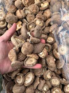 เห็ดชิตาเกะแห้งธรรมชาติ คุณภาพเยี่ยม สำหรับเชฟมืออาชีพ อายุการเก็บรักษา 12 เดือน ขายดีมาก โฮจิมินห์ - Product Image 6