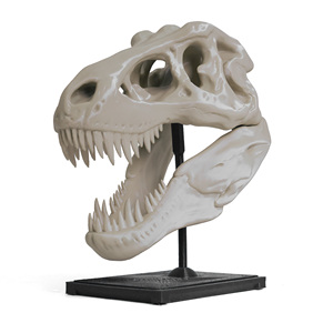 Numakers Best Quality 1kg 1.75mm <b>PLA</b>+ Bone White 3D Printing Filament High Precision 3D Prints 60C Temperature Resistance - Product Image 2