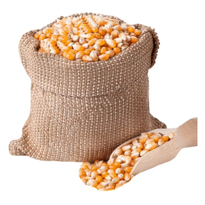 Maíz Amarillo para Alimentación Animal, Grano de Maíz con Alto Contenido de Almidón, Grado Alimenticio, para Ganado, Aves de Corral, Venta al por Mayor, Suministro a Granel, Fabricante, Exportador - Product Image 3