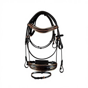 บังเหียนม้าหนังแท้ประดับเพชร OEM & ODM สีขาว พร้อมสายรัดจมูกและสายคาดศีรษะแบบนุ่มสีดำ - Product Image 1