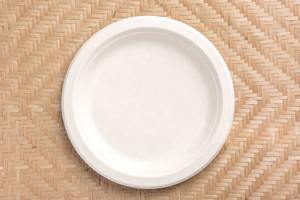 LKS Enterprises 2025, Platos Desechables Resistentes de Material de Bagazo, Ecológicos y Biodegradables, Fabricados en India - Product Image 4