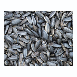 เมล็ดทานตะวันขายส่งจำนวนมาก ราคาถูก เมล็ดทานตะวันสด - Product Image 4