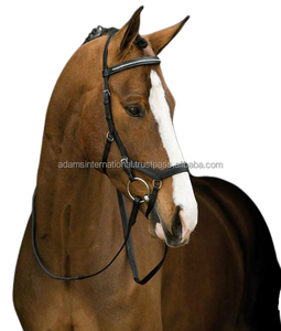 Micklem-brida de caballo de alta calidad, con buen cuero - Product Image 1