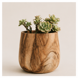 Maceta de Madera Maciza Tallada a Mano Ecológica para Suculentas, Maceta de Madera para Decoración de Jardín Interior de Escritorio, Personalizada OEM - Product Image 6